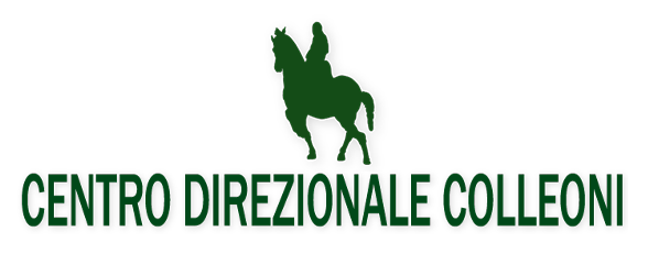 Centro Direzionale Colleoni Logo